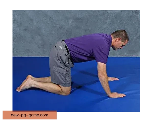 举重训练新视角：科学训练技巧与实战经验分享