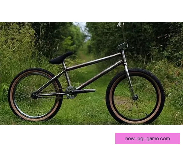 BMX冠军:突破极限,无惧风险,绽放飞扬! BMX冠军:突破极限,无惧风险,绽放飞扬!