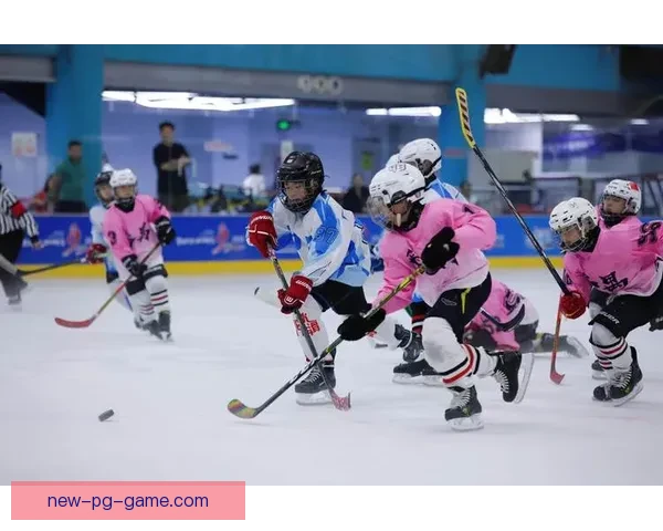 冰球比赛胜负预测分析与推荐 冰球比赛胜负预测分析与推荐