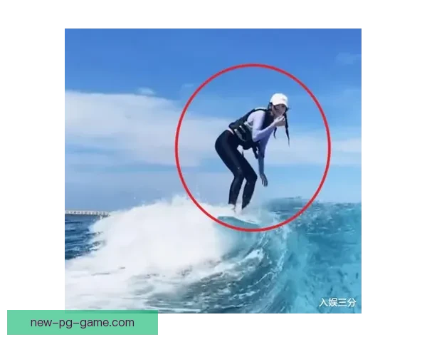 学会冲浪：视频完全指南