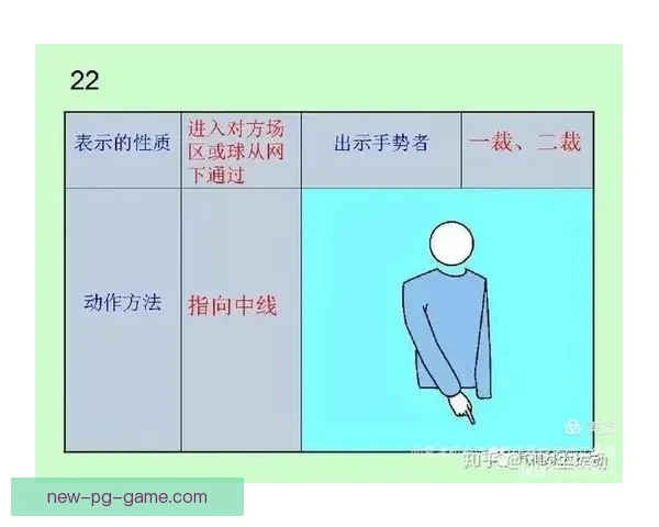 排球规则详解与实战技巧分享