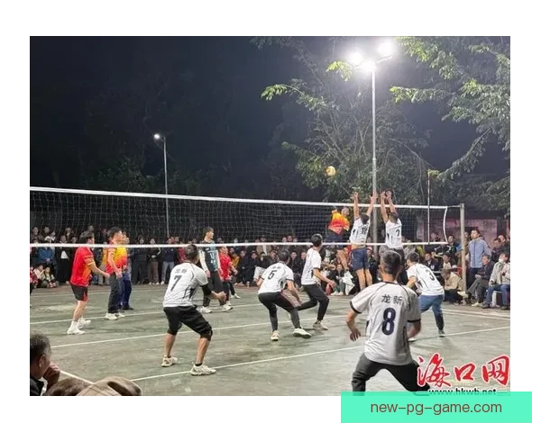 排球杯赛:挥洒激情,角逐荣耀 排球杯赛:挥洒激情,角逐荣耀
