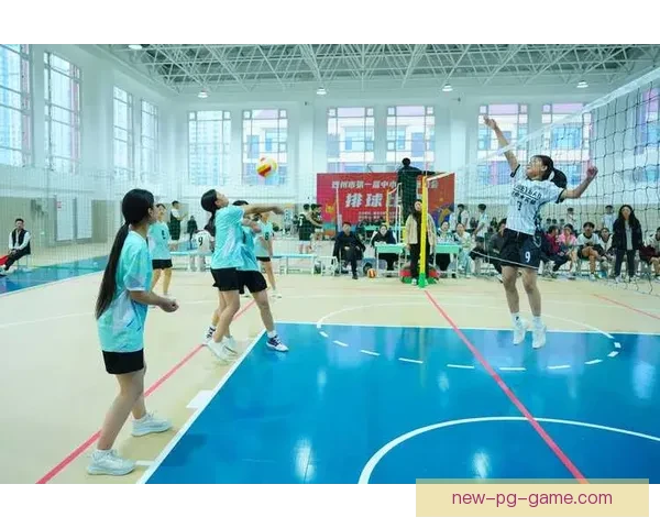 排球历史回顾：传承与发展的篮球之美