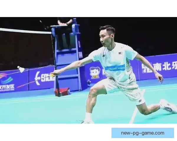 提高羽毛球技巧：精进战术与动作，享受技艺提升乐趣