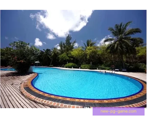 游泳数据分析:深度揭秘泳池之谜 游泳数据分析:深度揭秘泳池之谜