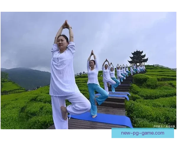 瑜伽赛事预测：身心平衡的智慧之旅