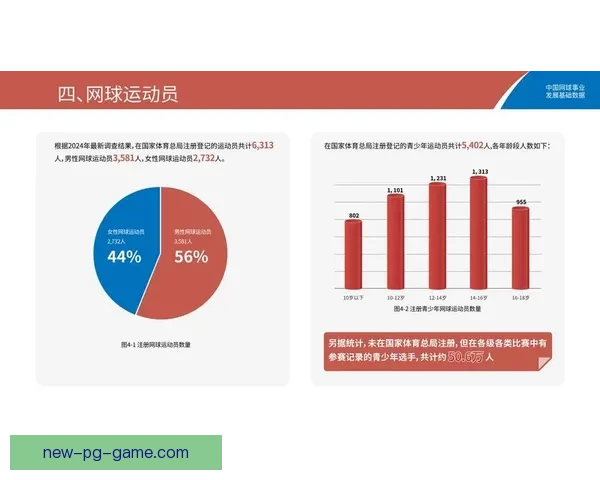 网球数据分析：揭秘胜负关键因素统计及趋势预测