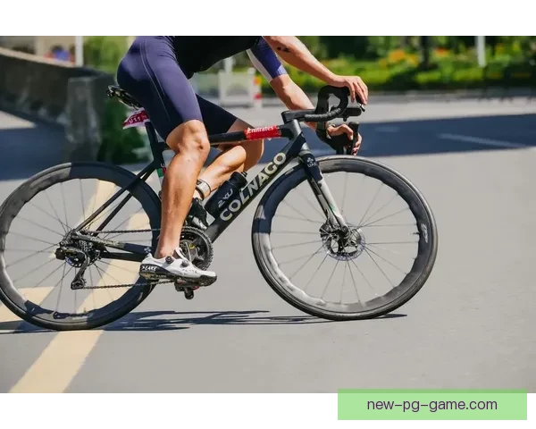 自行车世界纪录：速度、距离、创新，挑战极限，创造历史