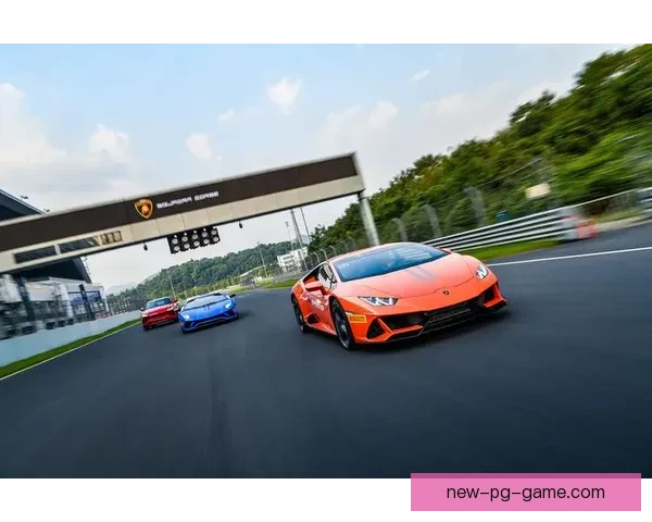 赛车极速飞驰：精彩赛事重现