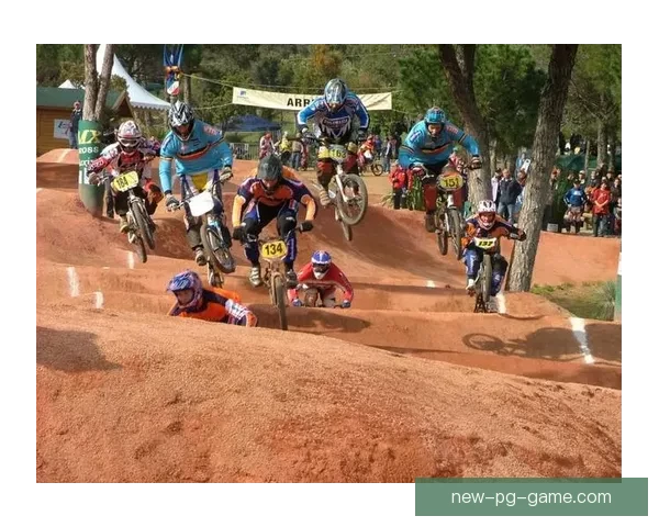 骑士风范：BMX技巧大揭秘